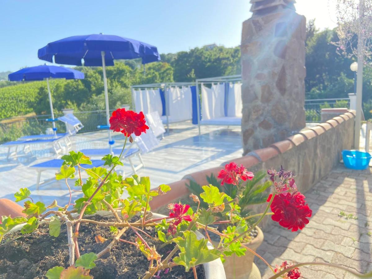 Serra Marina Rooms And Apartments Santa Maria di Castellabate Esterno foto