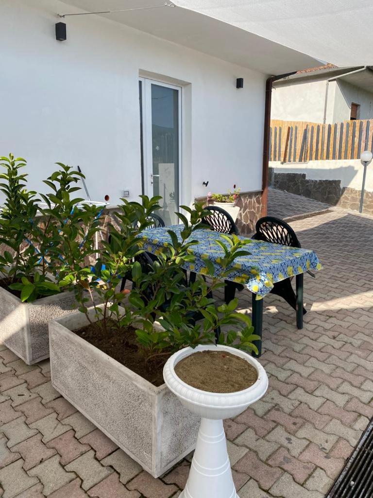 Serra Marina Rooms And Apartments Santa Maria di Castellabate Esterno foto